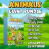 Animals Activity Books for Kids